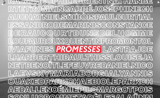 COM galerie expo promesses