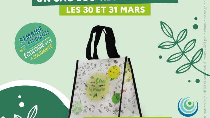 GABARIT INSTA sac ecoresponsable SEES 2023