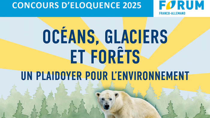 F DFF Webplakat Rednerwettbewerb 2025 insta lay NEU RZ FR taille reduit e1742395394965