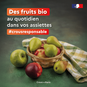 FRUIT BIO Insta taille reduite