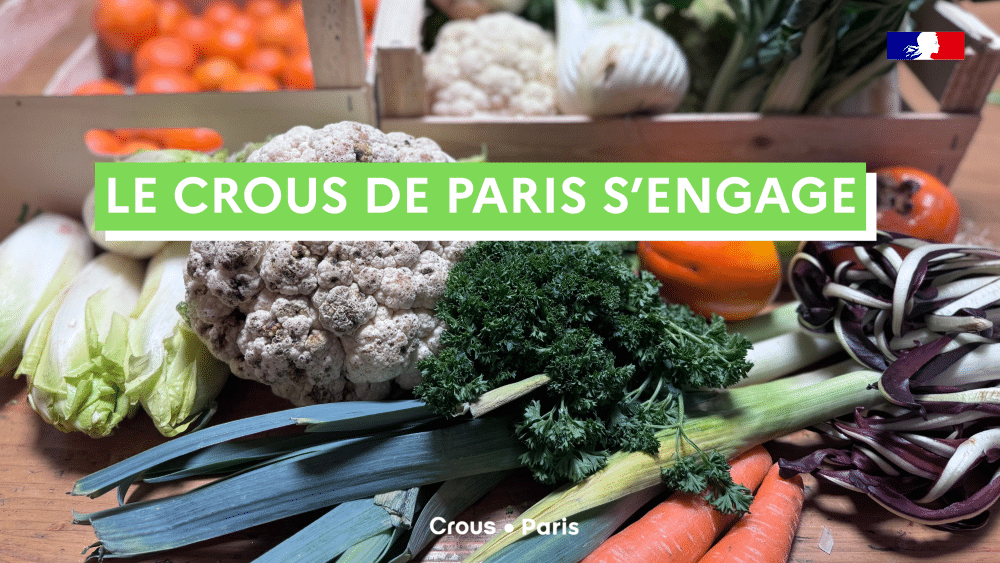 Qu'est-ce qu'on mange ? 14 Banniere DRIAFF