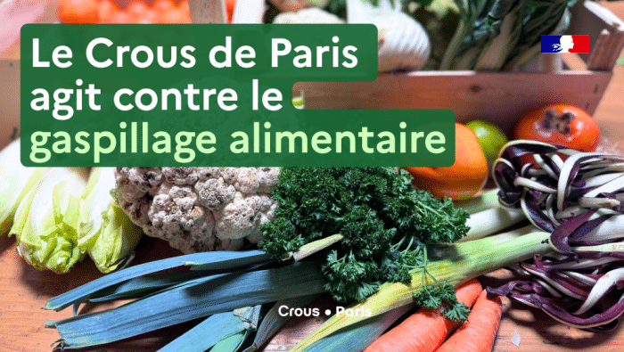 Banniere DRIAFF residence Dareau 1