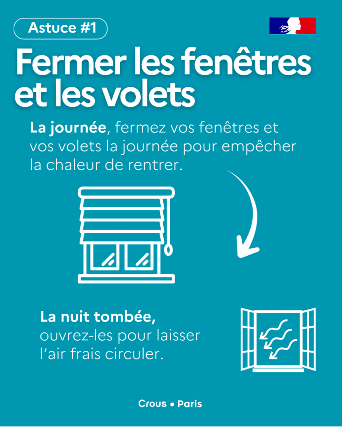 Tips Canicule 2