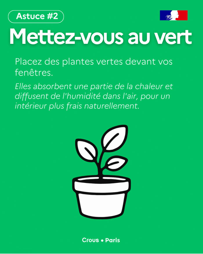 Tips Canicule 3