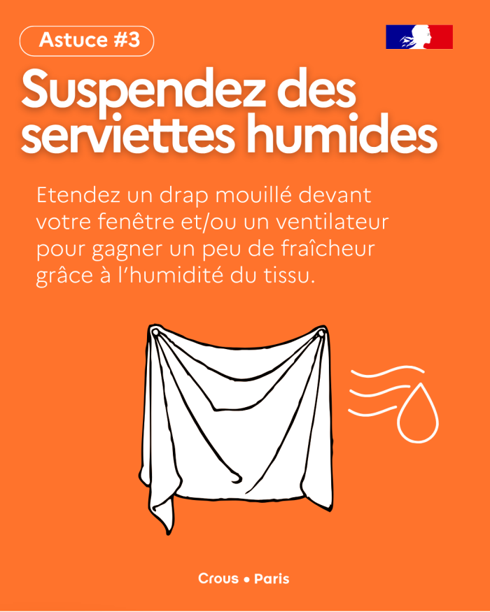 Tips Canicule 4