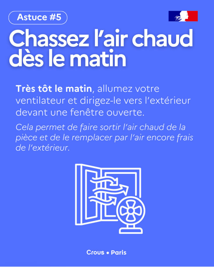 Tips Canicule 6