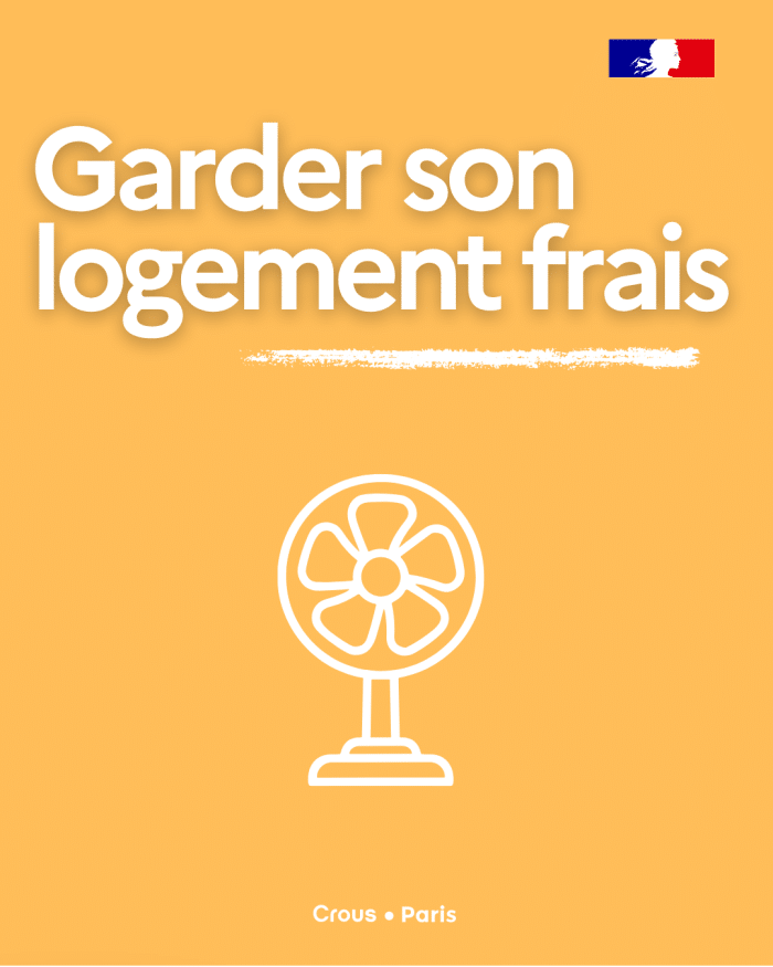 Tips Canicule