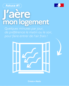 jaere